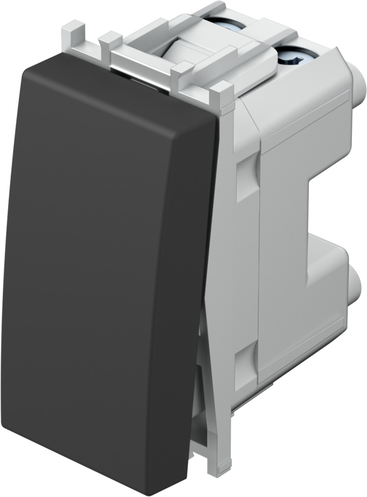 ВЫКЛЮЧАТЕЛЬ 2Модуль  TEM  SM60SB-P