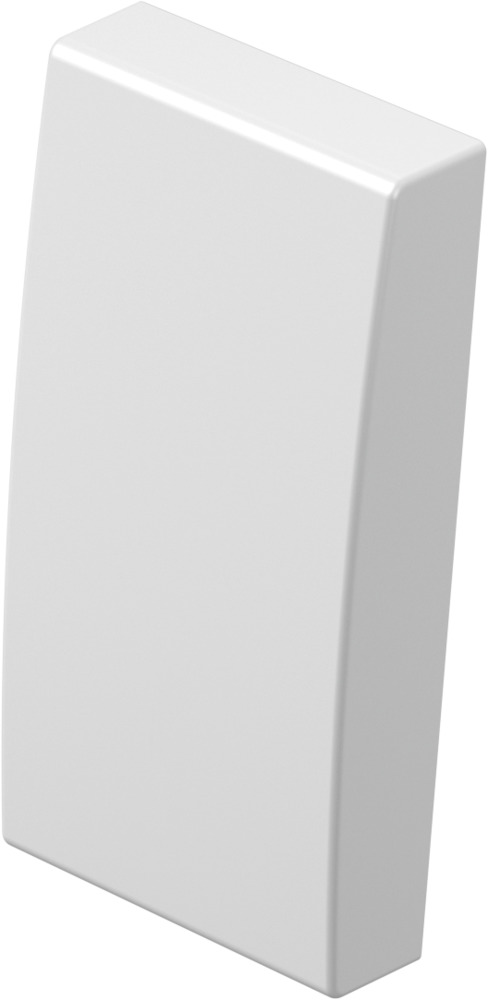 КНОПКА  TEM  TM11PW-P