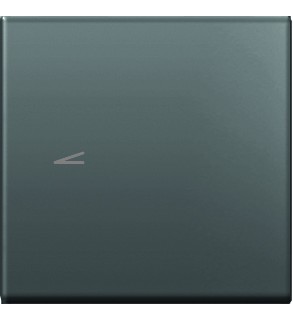 КНОПКА  TEM  TM12SBNT11-U