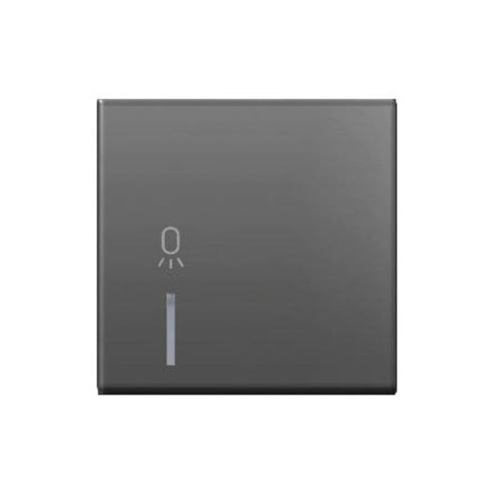 КНОПКА  TEM  TM12SBIN02-U