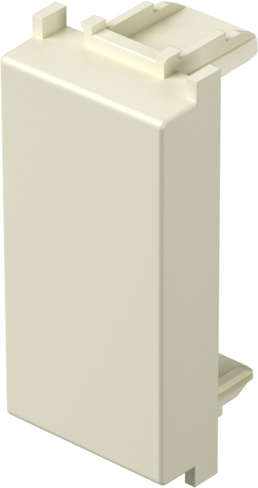 BLANK  TEM  TM21IW-P