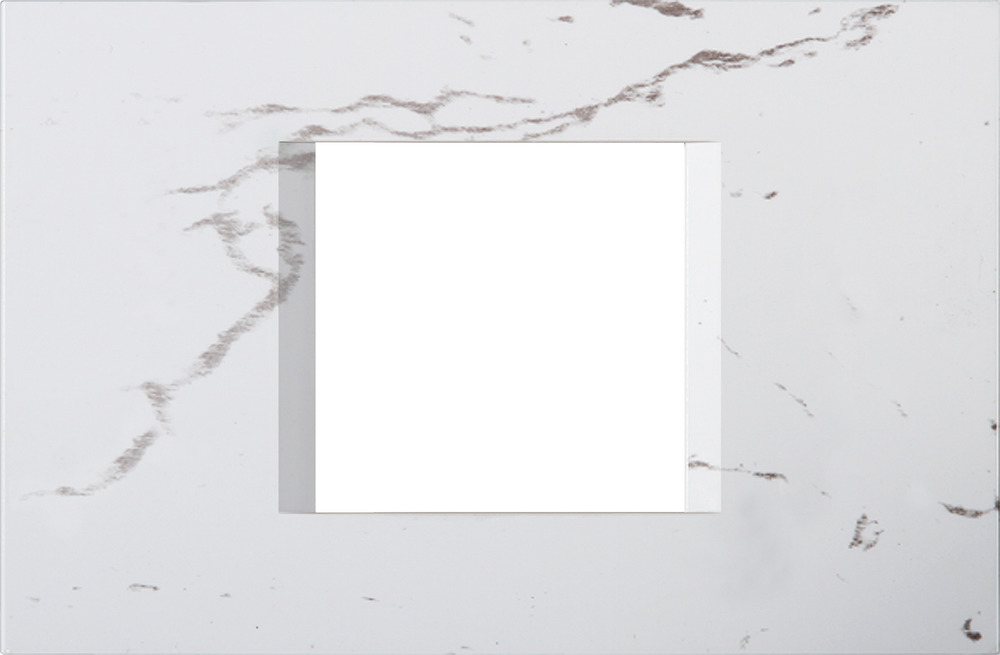 COVER PLATE LINE  TEM  OL23SW-U