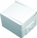ВЫКЛЮЧАТЕЛЬ 1Модуль  TEM  SF10PW-U