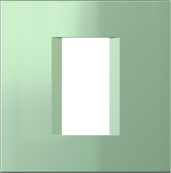 COVER PLATE LINE  TEM  OL10MG-U