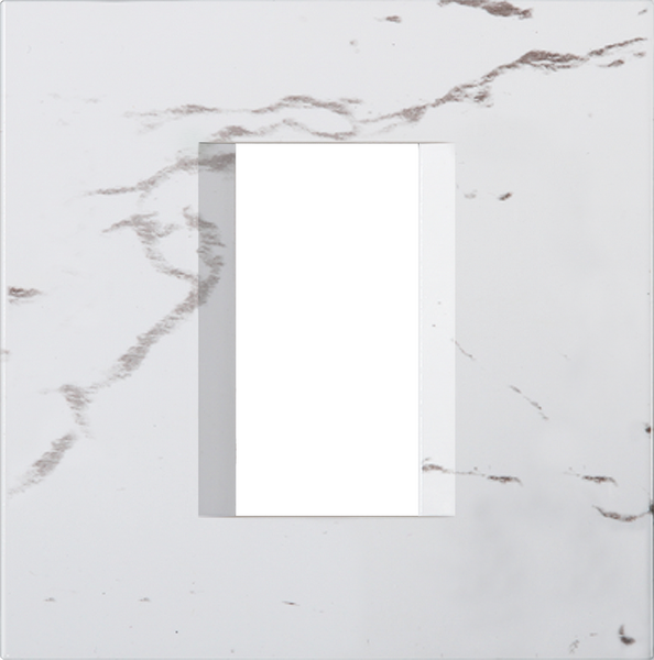 COVER PLATE LINE  TEM  OL10SW-U