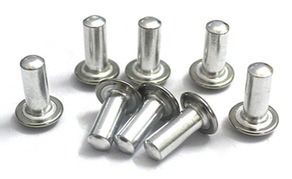 Pərçim (zakılovka) F5mmx24mm TWEMPZ-10535