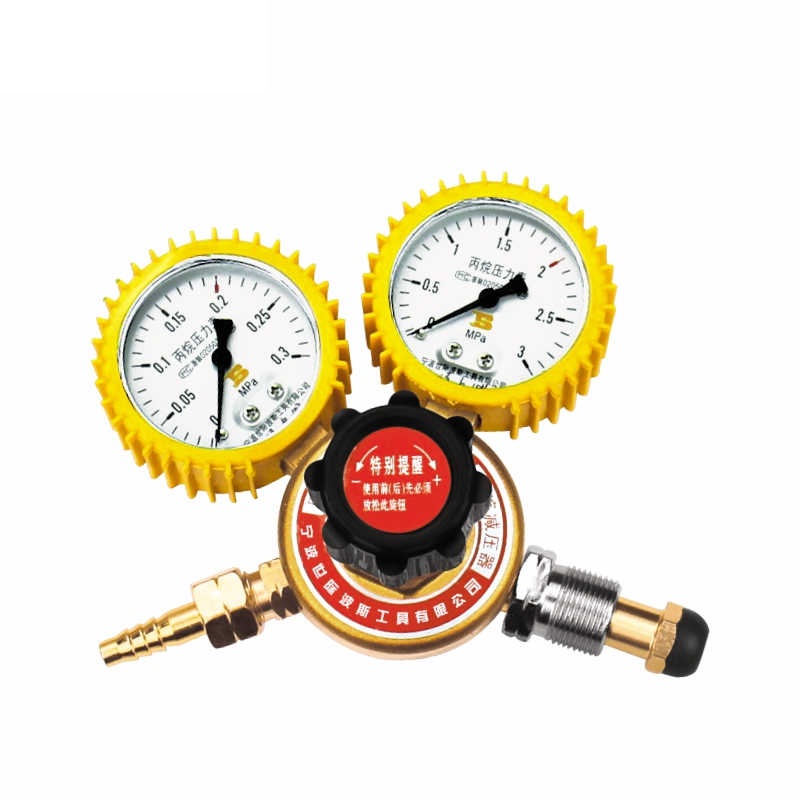 1.6Mpa Propane Regulator BOSI BS473583