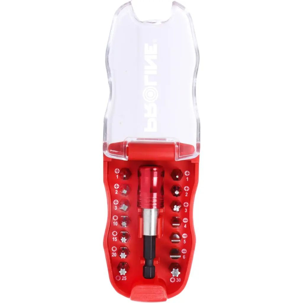 15 PC BIT SET WITH MAGNETIC HANDLE PROLINE 10704