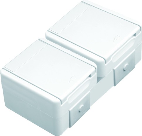 SOCKET SET SCHUKO DOUBLE HORIZ  TEM  CF14PW-U