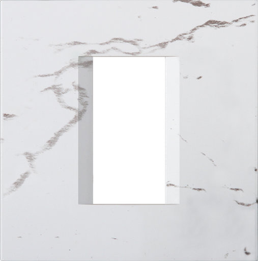 COVER PLATE LINE  TEM  OL10SW-U