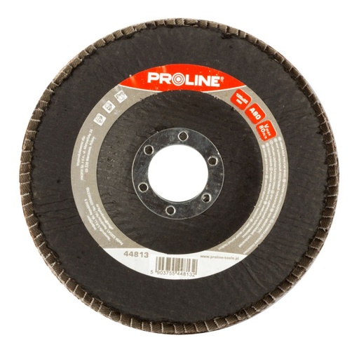 FLAP WHEEL OF ALUMINIUM OXIDE, A120, 125X22 PROLINE 44814